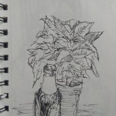 Tischdeko und eine Pflanze